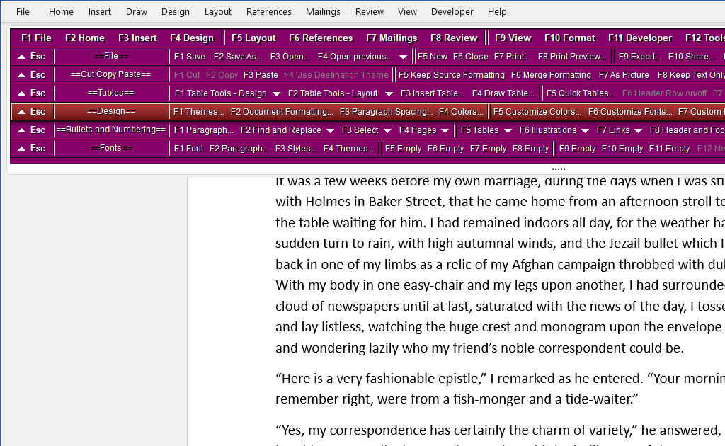 Quick Command Bars on screen in Word, one function key per command